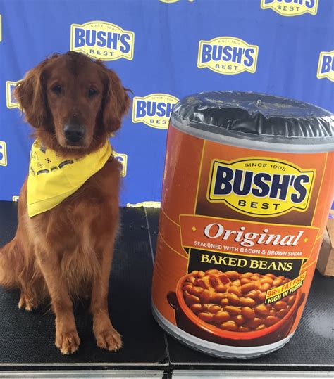 did the bush bean guy die|Dog that portrayed Duke in Bushs Baked Beans。